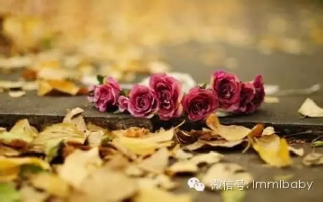 ʳ������һ����(һ)