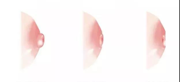 ʦγ̽